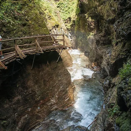 Seebrauer Erlach (Villach)