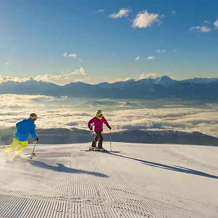 Seebrauer Erlach (Villach)