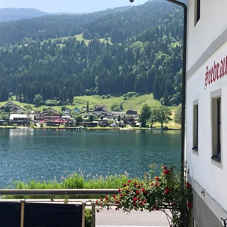 Seebrauer