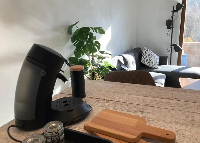 Seebrauer Apartament